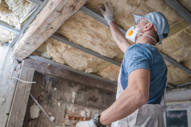 Best Insulation Maintenance and Repair in Haddon Heights, NJ